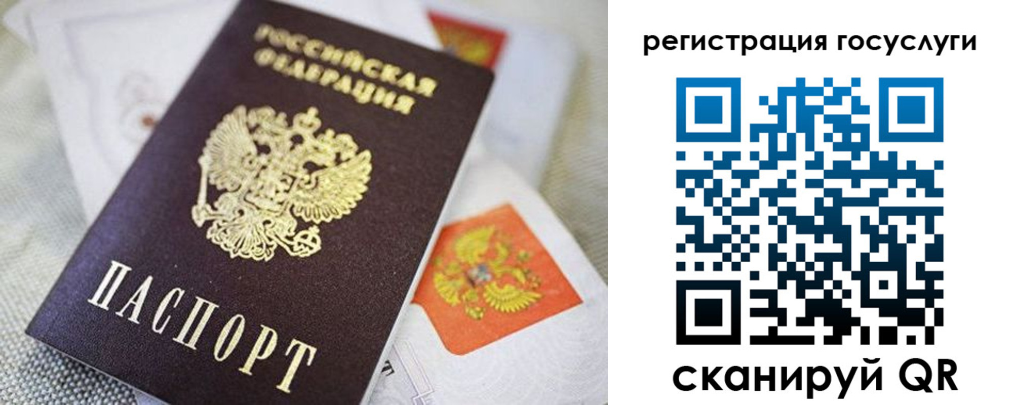 прописка паспорт в Сальске